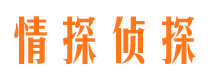 凤阳侦探公司